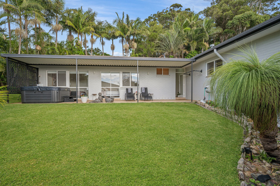 Panoramic Living with Rainforest Backdrop