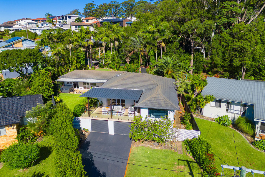 Panoramic Living with Rainforest Backdrop